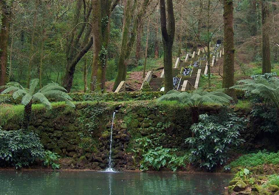 Portugal. Vannkilde i Bussaco-skogen. Fonte Fria.